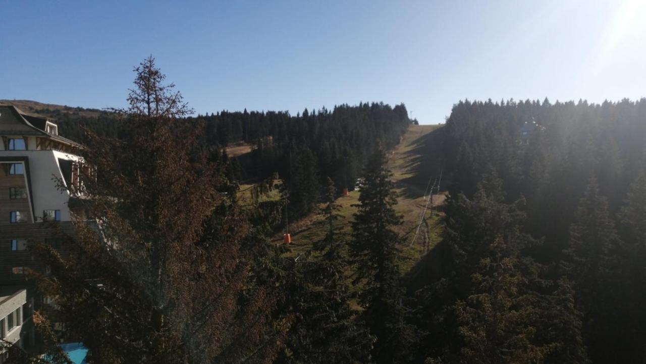 Woodside Apartments Kopaonik Esterno foto